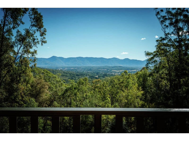 221 Old Brierfield Road, Bellingen NSW 2454