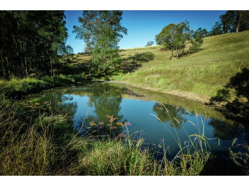 221 Old Brierfield Road, Bellingen NSW 2454