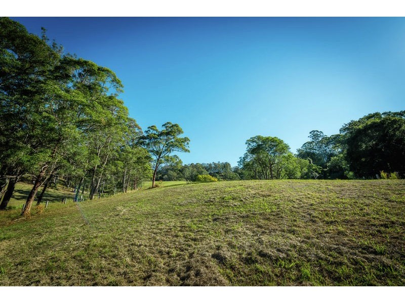 221 Old Brierfield Road, Bellingen NSW 2454