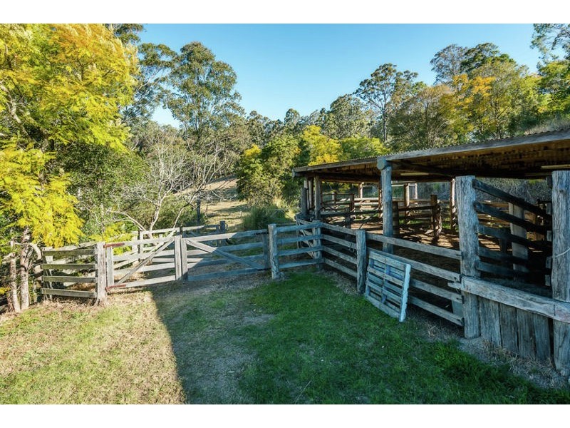 221 Old Brierfield Road, Bellingen NSW 2454