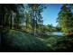 221 Old Brierfield Road, Bellingen NSW 2454