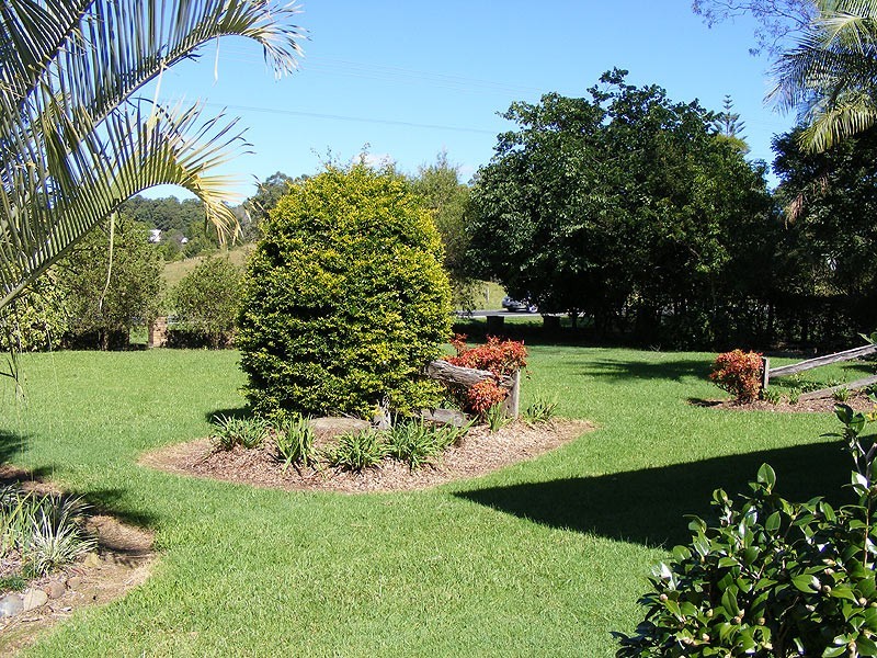 640 Waterfall Way Fernmount, Bellingen NSW 2454