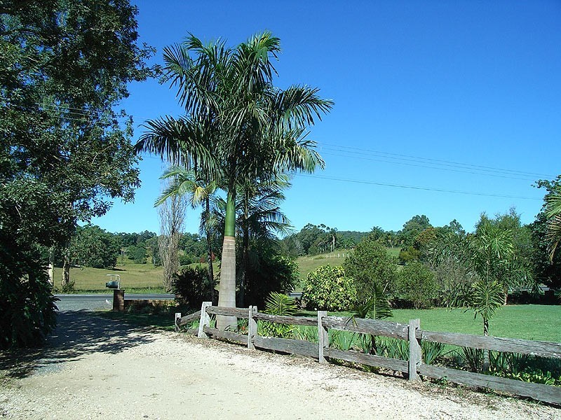 640 Waterfall Way Fernmount, Bellingen NSW 2454