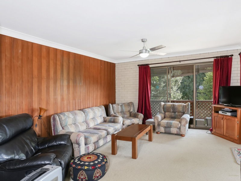 50 Robert Street, Bellingen NSW 2454