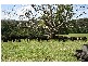 606 Valery Road Valery, Bellingen NSW 2454