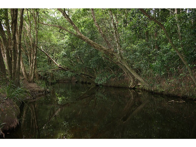 606 Valery Road Valery, Bellingen NSW 2454