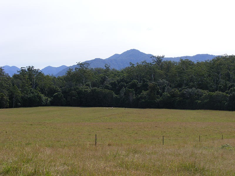 606 Valery Road Valery, Bellingen NSW 2454