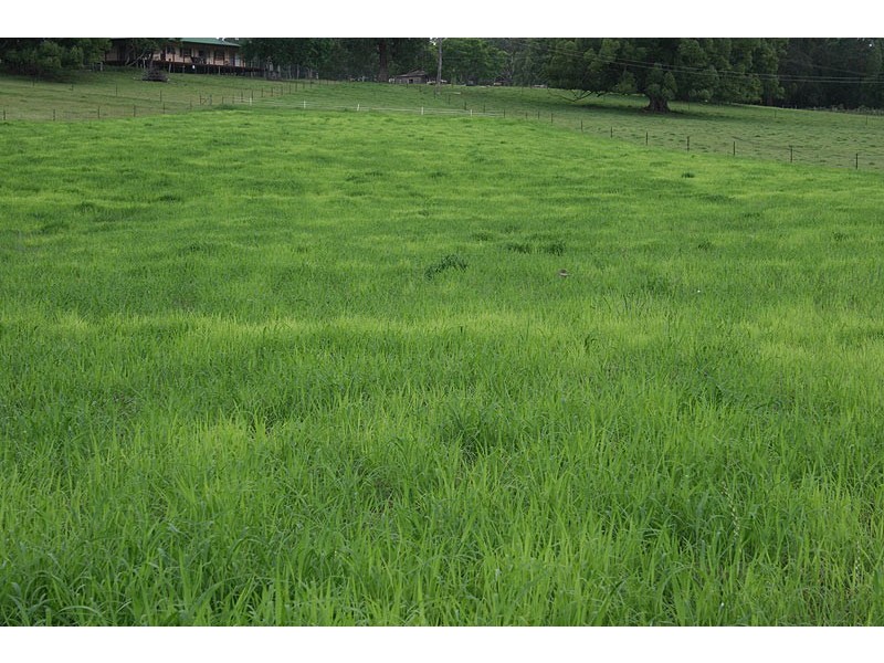 606 Valery Road Valery, Bellingen NSW 2454