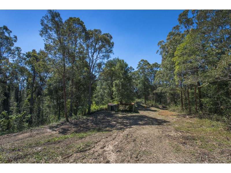 11 Bowraville Road, Bellingen NSW 2454