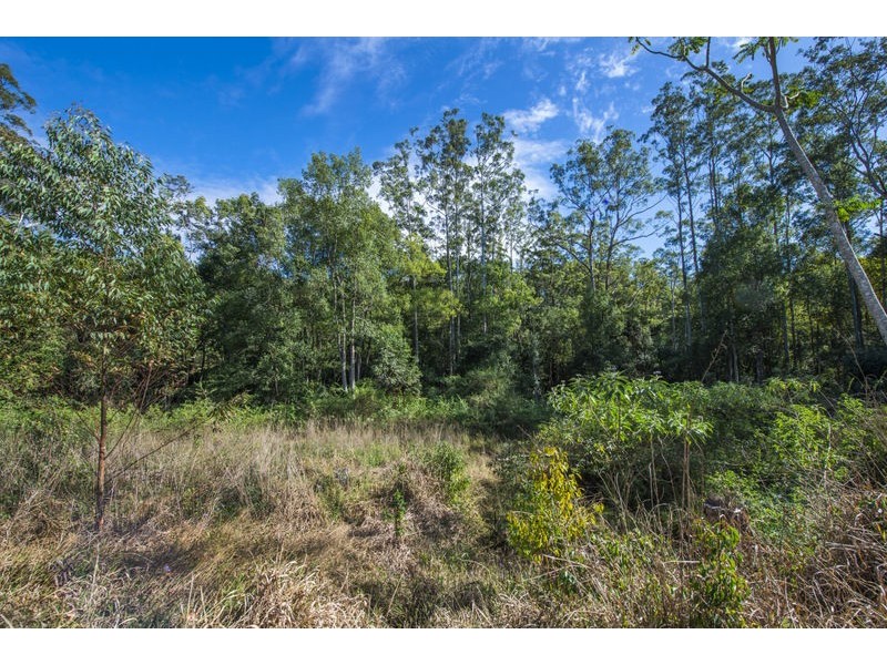 11 Bowraville Road, Bellingen NSW 2454