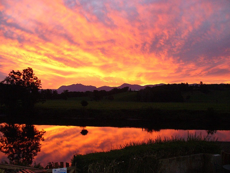 6 Tyson St Fernmount, Bellingen NSW 2454