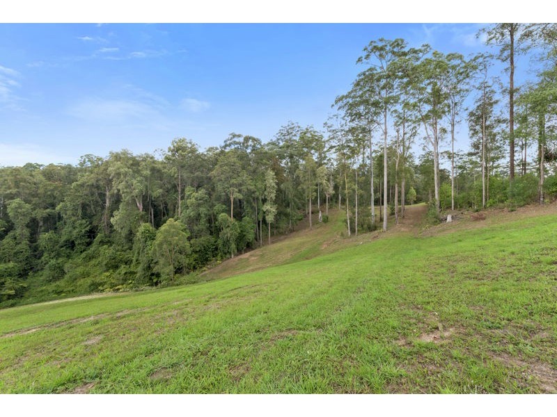 139 Mahers Road, Bellingen NSW 2454