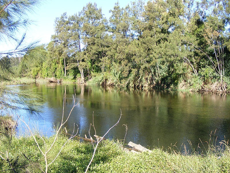 445 Summervilles Road, Bellingen NSW 2454