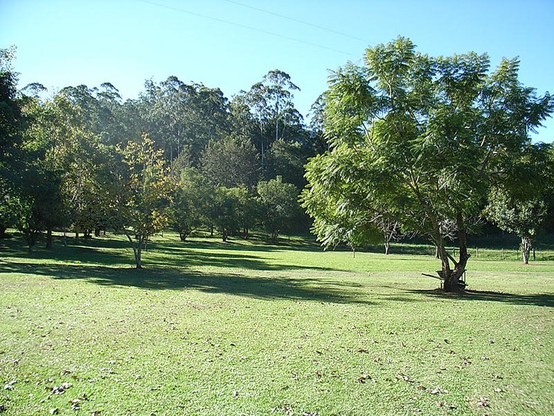 445 Summervilles Road, Bellingen NSW 2454