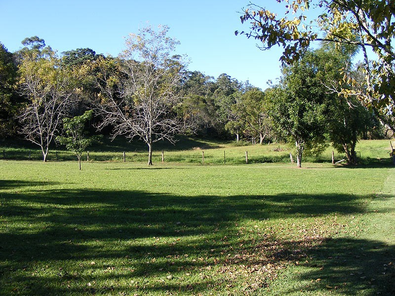 445 Summervilles Road, Bellingen NSW 2454