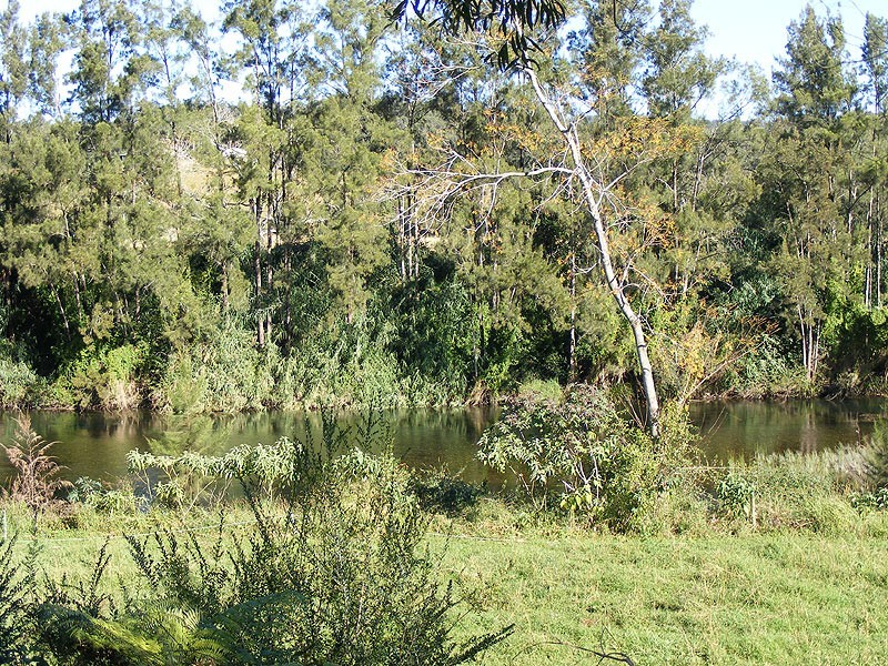 445 Summervilles Road, Bellingen NSW 2454