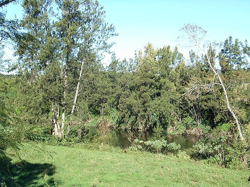 445 Summervilles Road, Bellingen NSW 2454