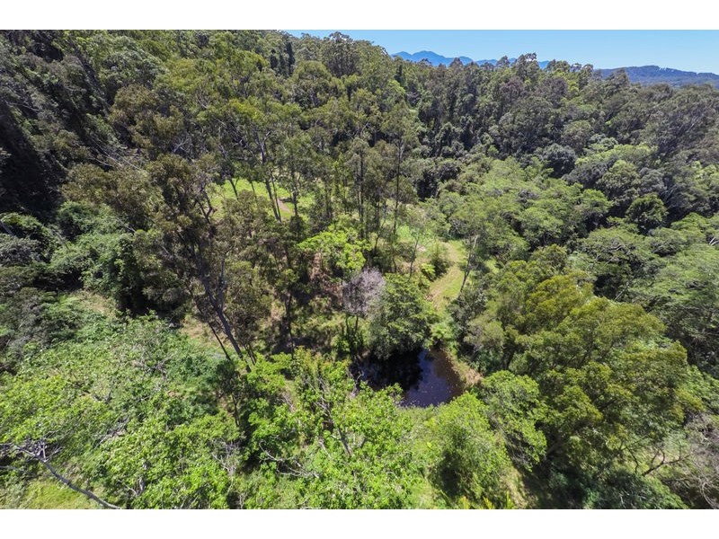 49 Pulsford Place, Fernmount NSW 2454