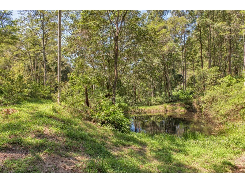 49 Pulsford Place, Fernmount NSW 2454
