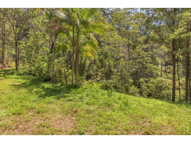 49 Pulsford Place, Fernmount NSW 2454
