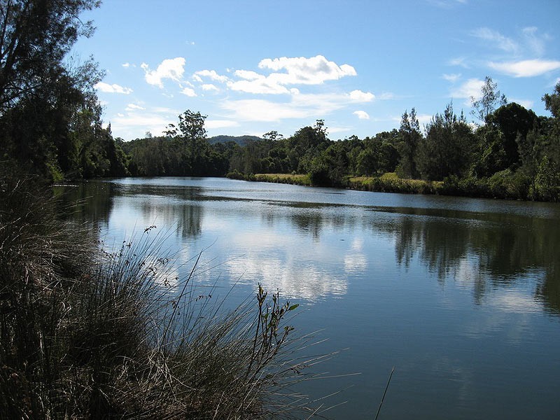 422 Martells Road, Bellingen NSW 2454