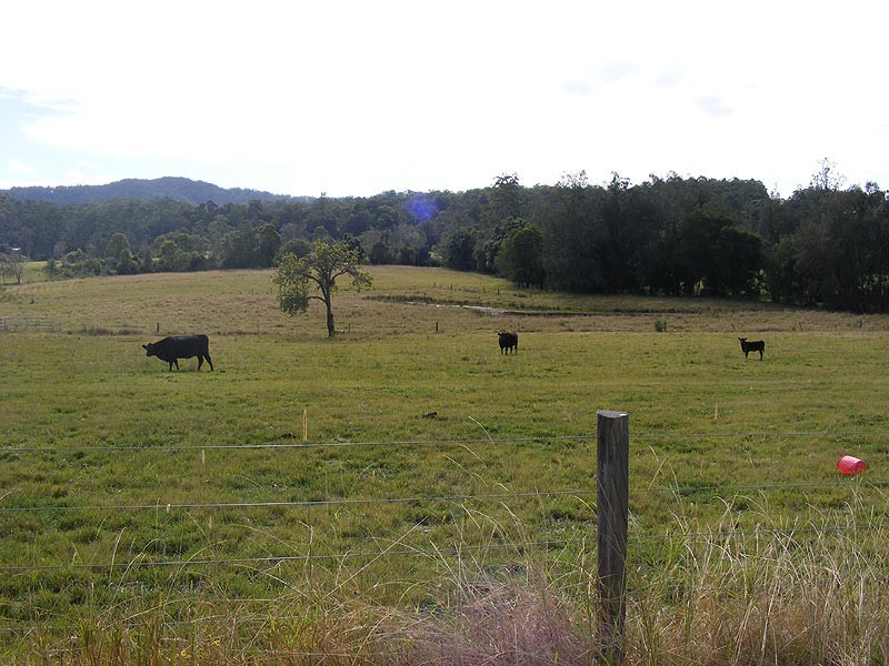 422 Martells Road, Bellingen NSW 2454