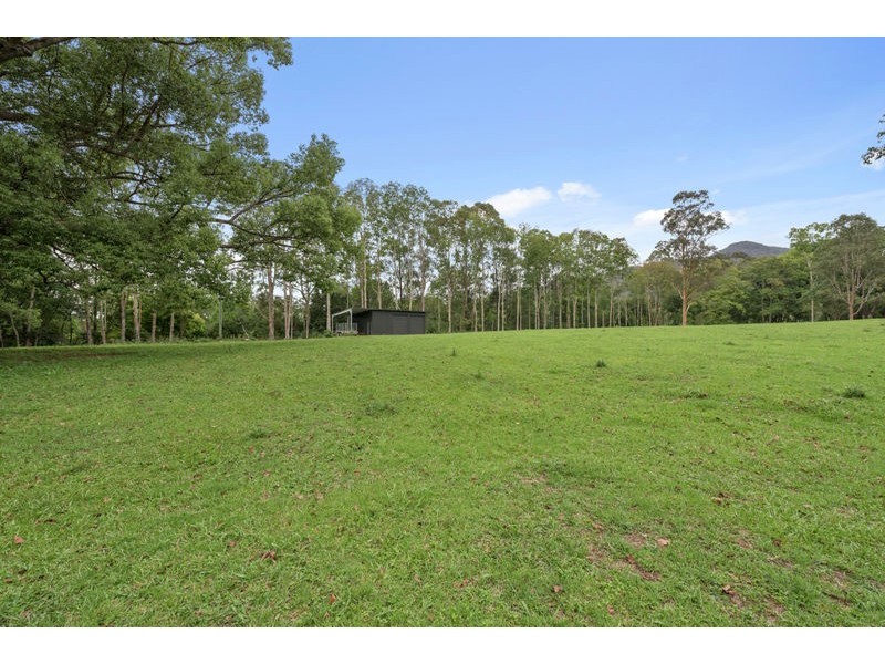 62 Buffer Creek Road, Gleniffer NSW 2454