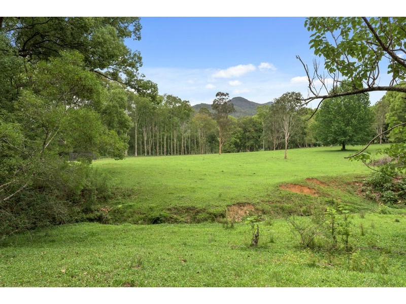 62 Buffer Creek Road, Gleniffer NSW 2454