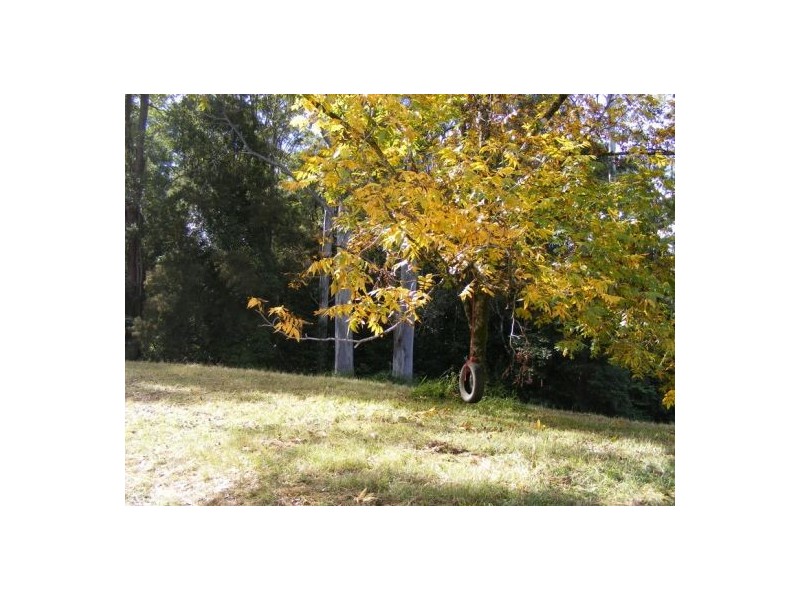 133 Lot 1 & 2 Timboon Rd, Bellingen NSW 2454