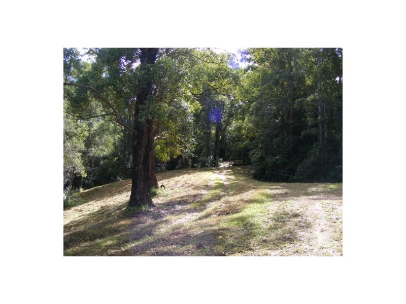 133 Lot 1 & 2 Timboon Rd, Bellingen NSW 2454