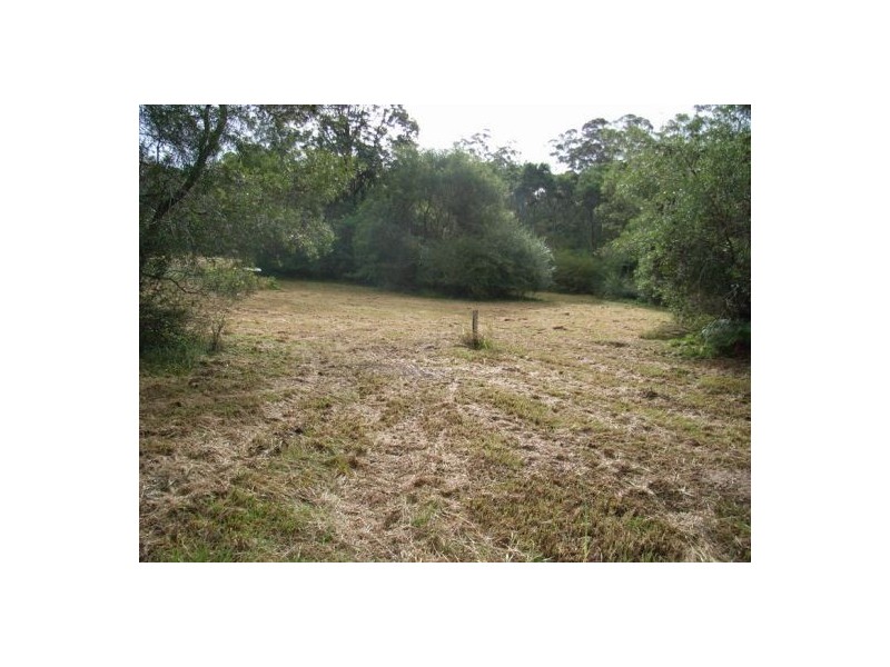 133 Lot 1 & 2 Timboon Rd, Bellingen NSW 2454