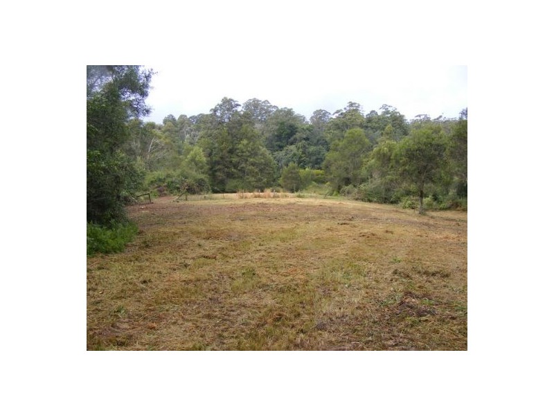 133 Lot 1 & 2 Timboon Rd, Bellingen NSW 2454