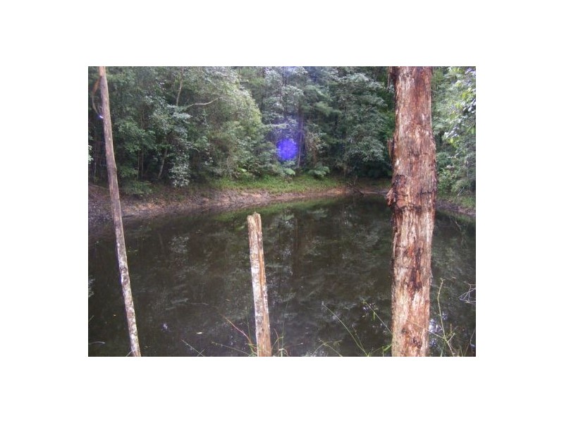 133 Lot 1 & 2 Timboon Rd, Bellingen NSW 2454