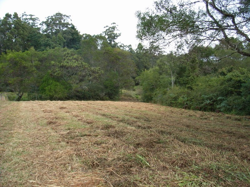 133 Lot 1 & 2 Timboon Rd, Bellingen NSW 2454