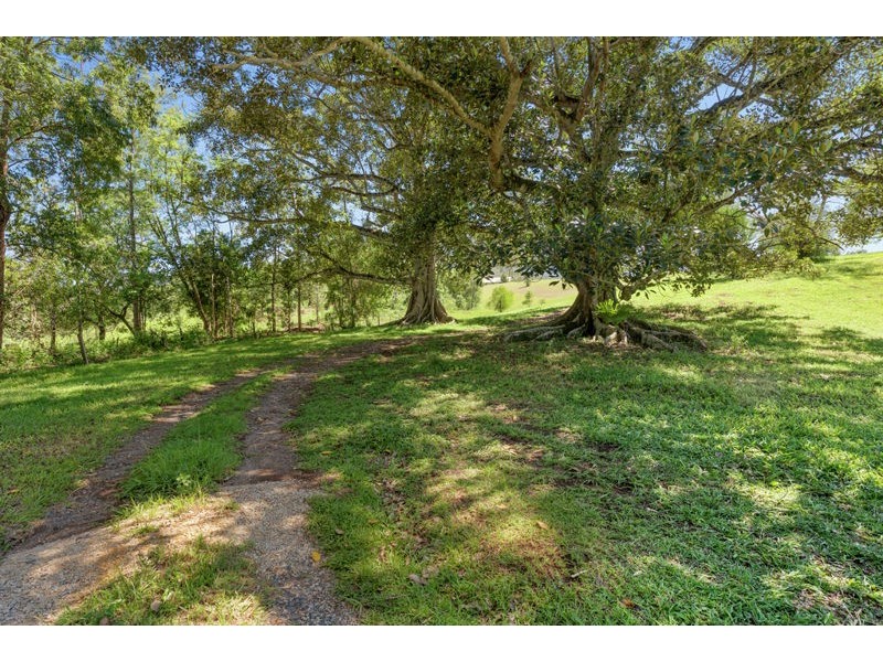 758 Summervilles Road, Bellingen NSW 2454