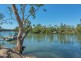 4419 Giinagay Way, Urunga NSW 2455