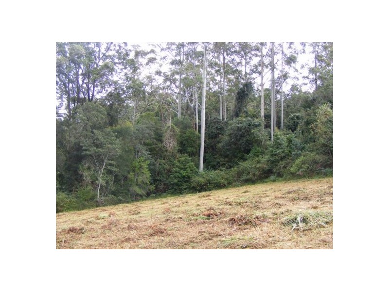 133-Lot 2 Timboon Road Valery, Bellingen NSW 2454