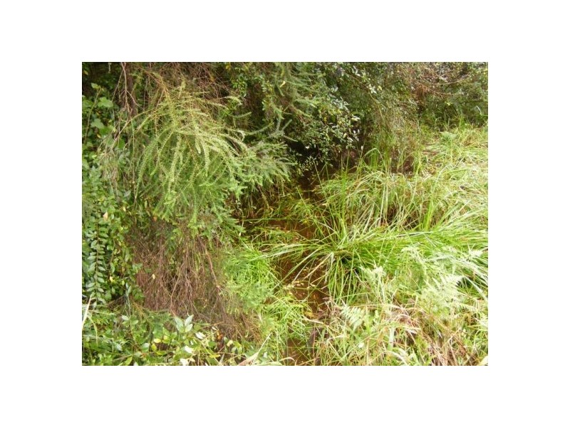 133-Lot 2 Timboon Road Valery, Bellingen NSW 2454