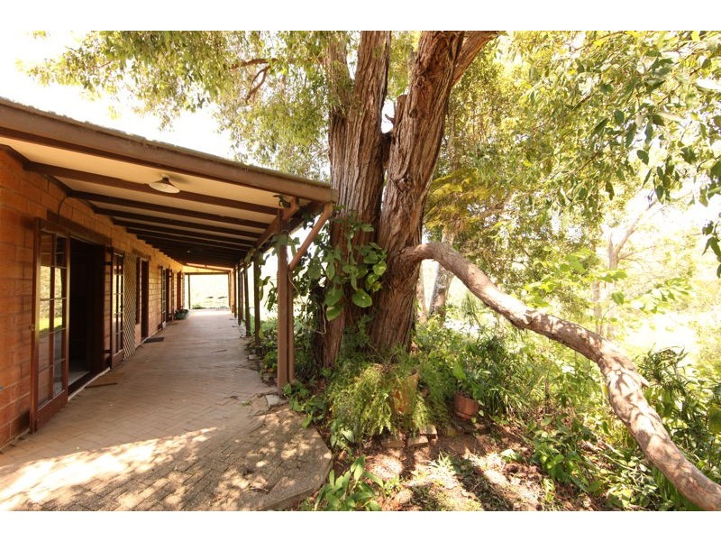 335 Kalang Road, Bellingen NSW 2454