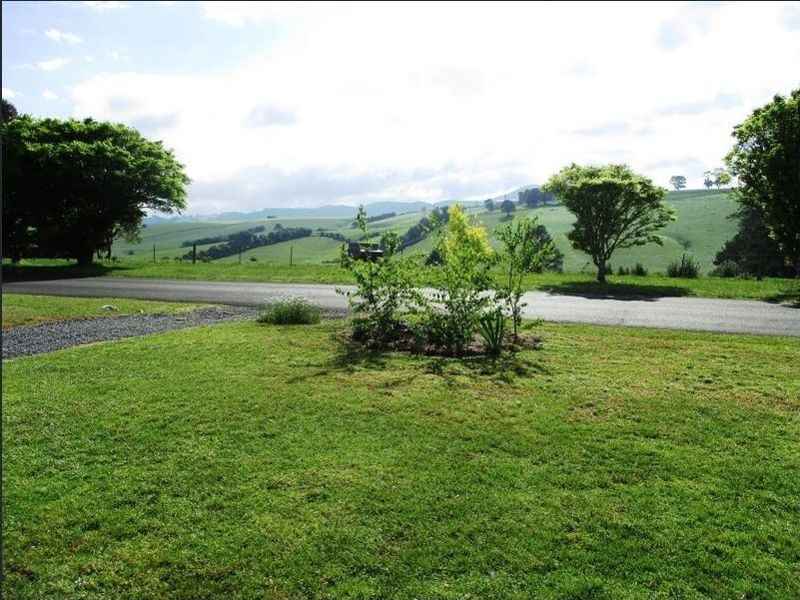 55 Kurrajong Street, Dorrigo NSW 2453