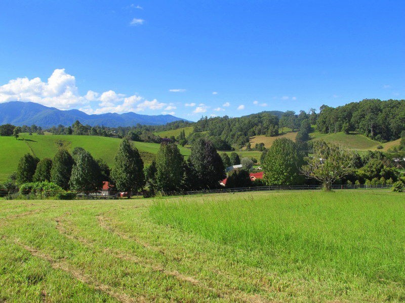 9 Crawford Close, Bellingen NSW 2454