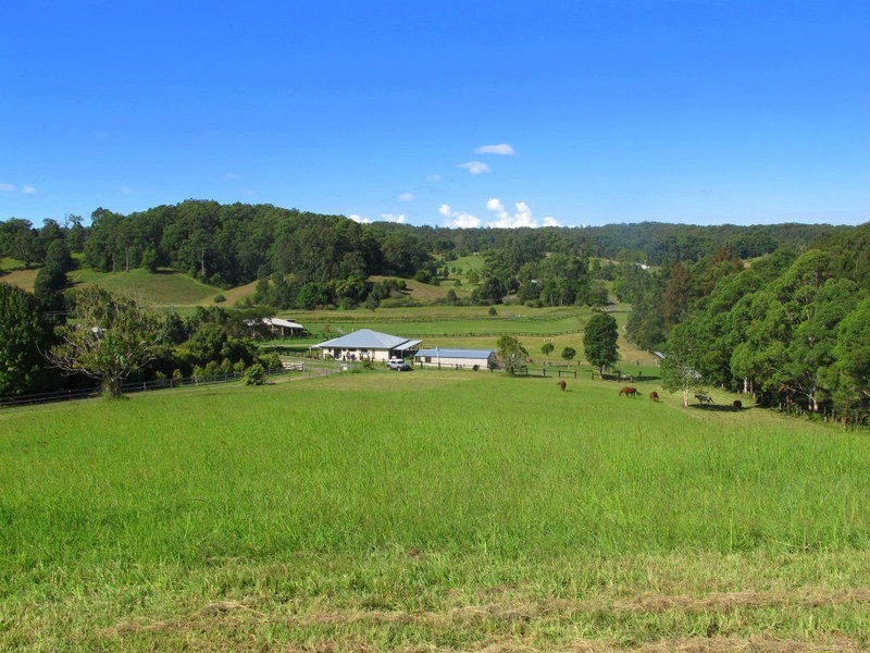 9 Crawford Close, Bellingen NSW 2454