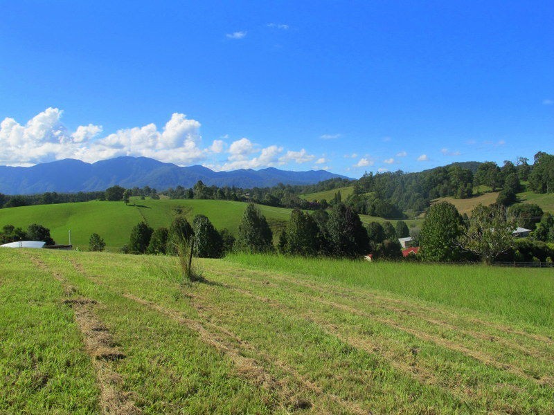 9 Crawford Close, Bellingen NSW 2454