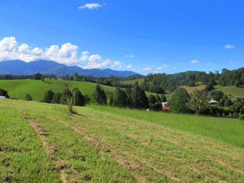 9 Crawford Close, Bellingen NSW 2454