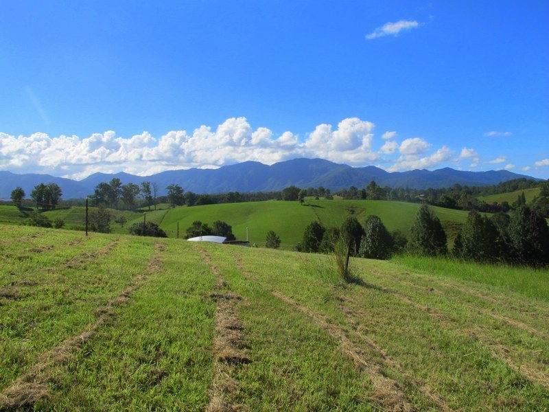 9 Crawford Close, Bellingen NSW 2454