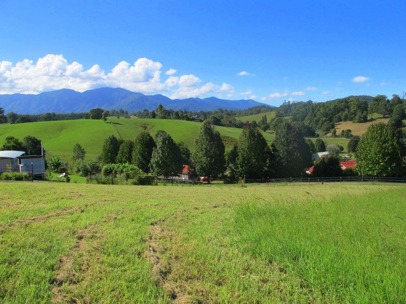 9 Crawford Close, Bellingen NSW 2454