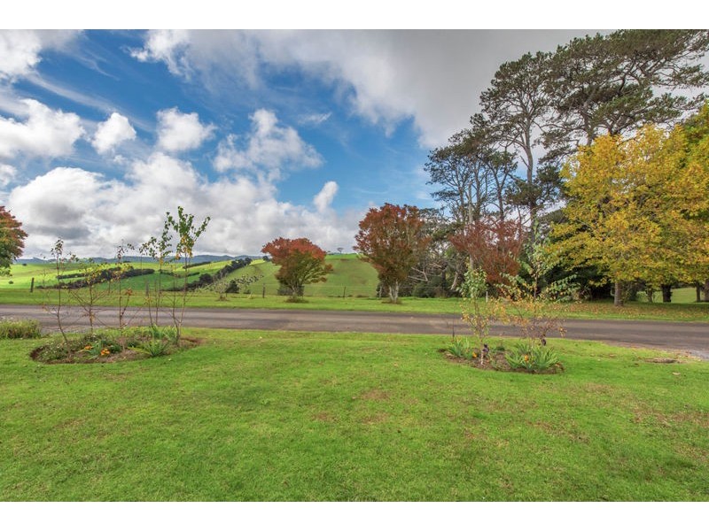 55 Kurrajong Street, Dorrigo NSW 2453