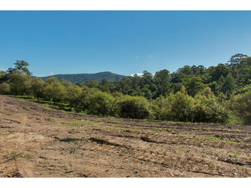 Part Lot 16 Lot 12 Sullivans Road, Valla NSW 2448