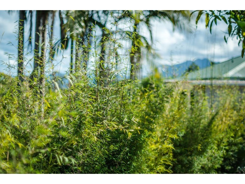 26 Casuarina Avenue, Bellingen NSW 2454