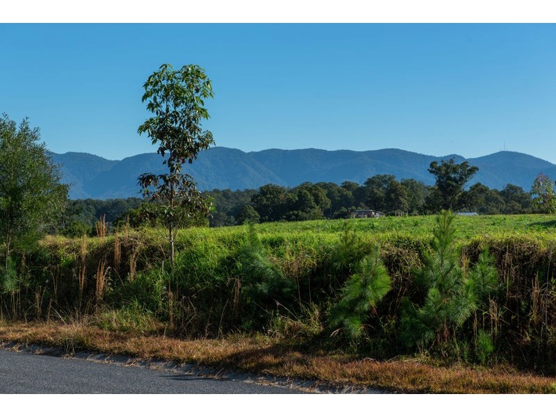 20 McLean Drive, Bellingen NSW 2454